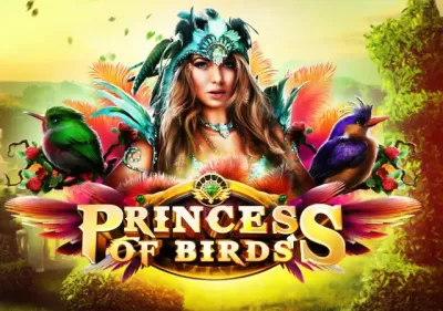 Princess of Birds screenshot